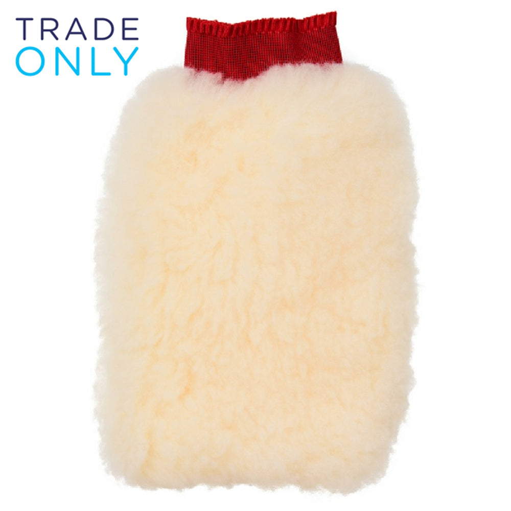 Wash/Polishing Mitt