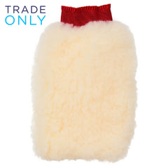 Wash/Polishing Mitt